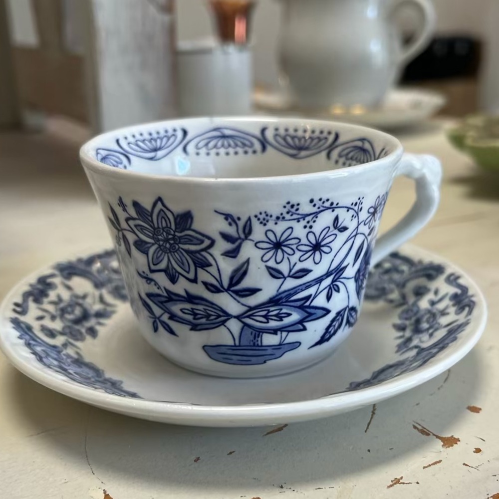 Pontesa Ironstone teacup and saucer